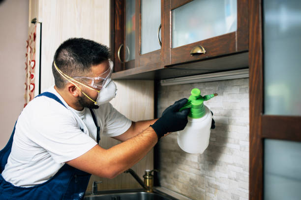 Best Pest Control for Restaurants  in USA